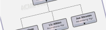 organization chart